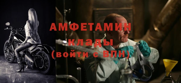 скорость Вяземский