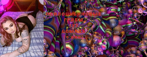 дмт Горняк