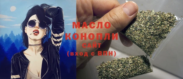 дмт Горняк