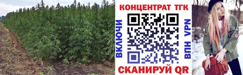 ТГК Wax  закладка  Дегтярск 