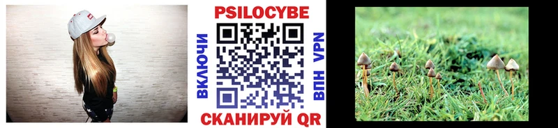 купить наркоту Дегтярск Псилоцибиновые грибы GOLDEN TEACHER